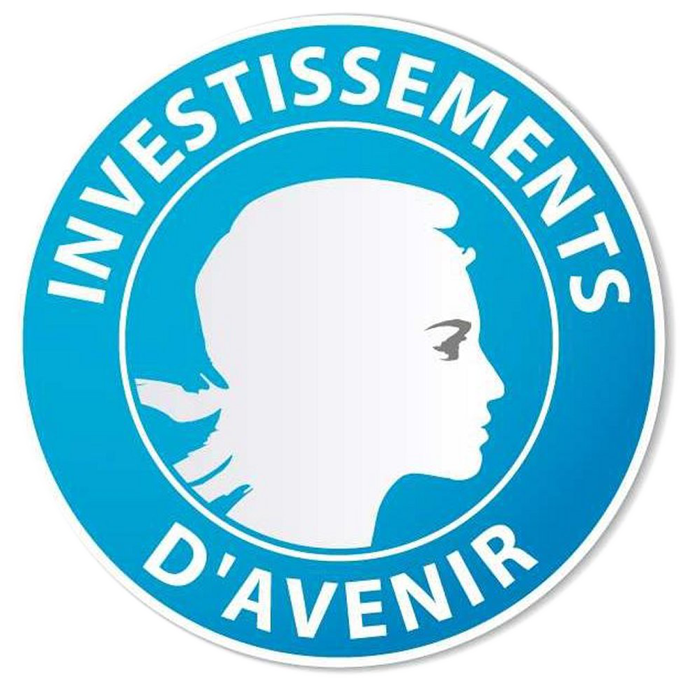 Investissement d'avenir